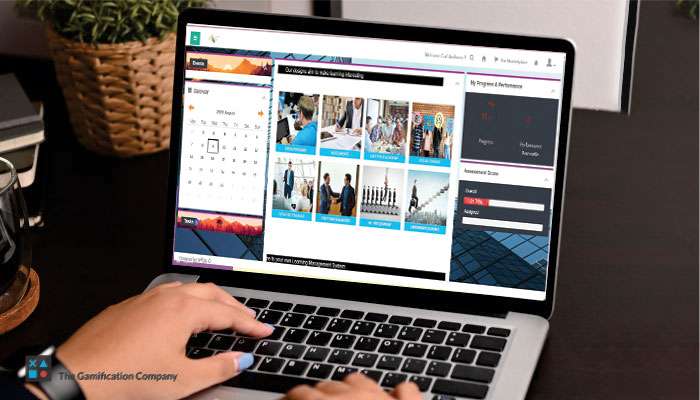 learning and development platforms
